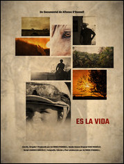 corto